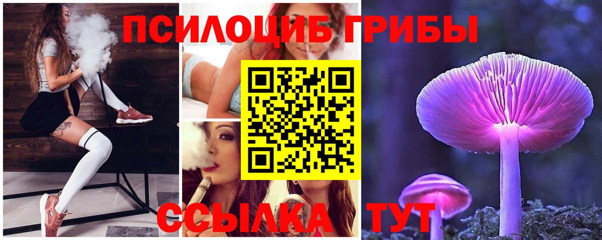 Галлюциногенные грибы Magic Shrooms  Вход с VPN  дарнет шоп  Шумерля 